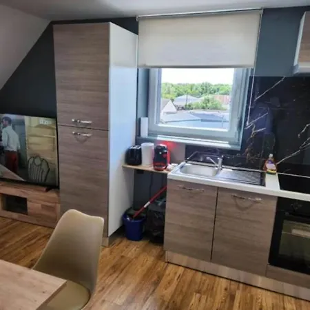 Appart hôtel La Roseraie